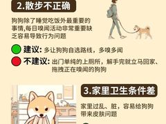 -美联众合动物医院·24h转诊中心