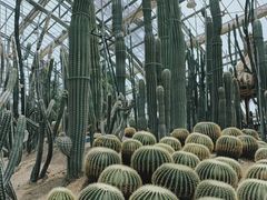 -南山植物园