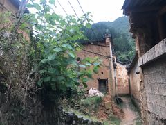 -杨家堂村