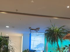 -桂满陇·蟹黄小笼汤包(巴黎春天浦建店)