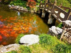 -西湖外事游船(花港观鱼码头)