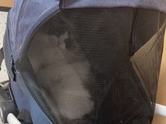 -瑞派康怡24h宠物医院·犬猫医疗中心·微创绝育(瑞景分院)