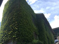 -普陀山慧济禅寺