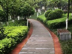 -龙头寺公园