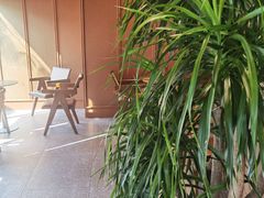 -奈雪的茶(大梅沙8号仓店)