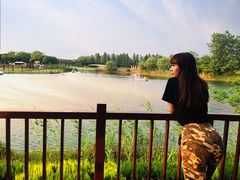 -太阳岛度假酒店