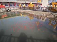 -河北村民俗体验园