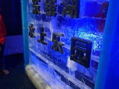 -东钱湖水上乐园(南门)