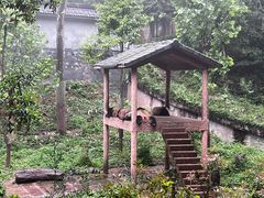 -碧峰峡风景区
