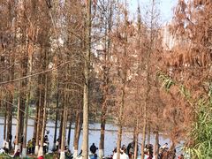 -重庆彩云湖湿地公园