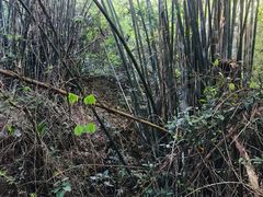 -羚羊峡古栈道森林公园