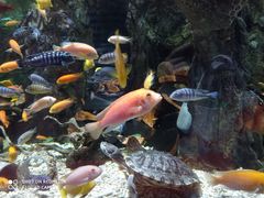 -太平洋海底世界