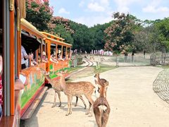 -常州淹城野生动物世界