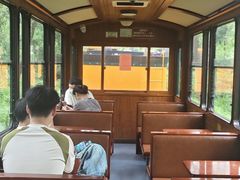 -合肥滨湖国家森林公园