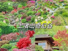 -莫干山风景区