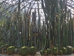 -深圳仙湖植物园