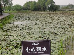 -白塔湖国家湿地公园