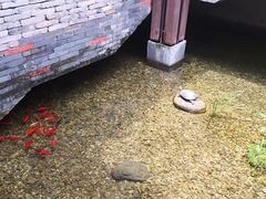 -几荷·恰似故人来(秀水广场店)