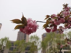 -常熟理文铂尔曼酒店
