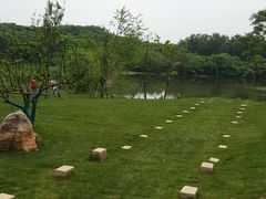 -盘龙城国家考古遗址公园