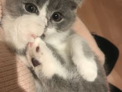 -昆山招商花园城
