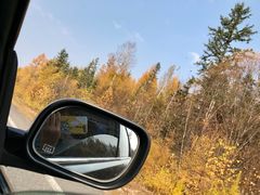 -五营红松林海景区