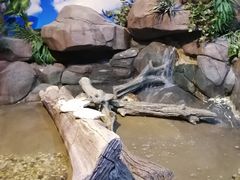 -苏州海洋馆