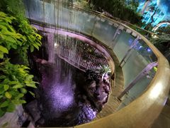 -正佳雨林生态植物园