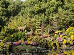 -杭州植物园