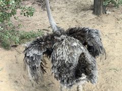 -鄂尔多斯野生动物园