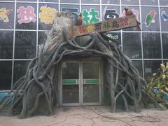 -青岛动物园