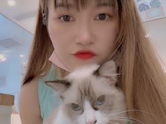-李小姐の猫咖啡馆(五角场店)