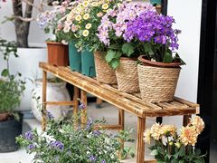 -溪岸路花鸟市场