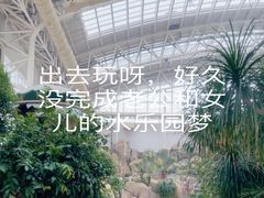 -杭州开元森泊度假乐园
