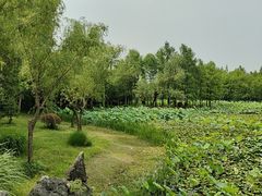 -长广溪湿地公园