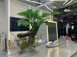 -MYYF SALON烫发染发