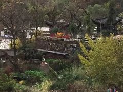 -塔川景区