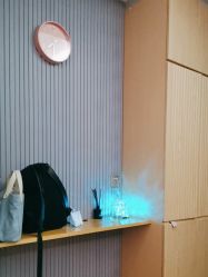 -PE SALON 