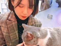-极木²邸 人与宠物·互动社区
