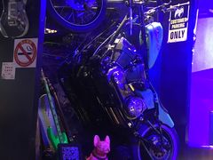 -288 Livehouse 酒吧(思南公馆店)