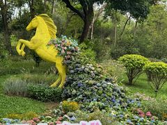 -云溪植物园