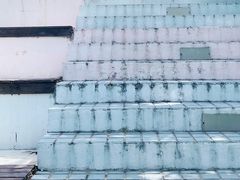 -汪说喵讲宠物乐园宠物酒店(红星美凯龙店)