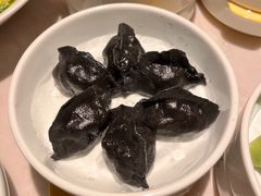墨鱼水饺-船歌·鱼水饺青岛菜(闽江二路店)