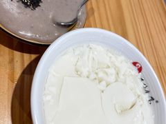 冰糖豆花-海丝金凤(金鱼店)