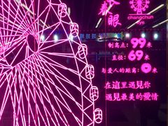-摩天活力城·摩天轮