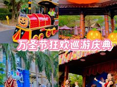 -灵玲国际马戏城