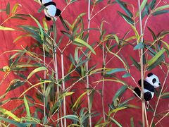 -杨记齐齐哈尔烤肉(总店)