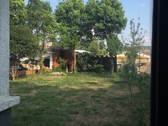 -翊宠yipet猫狗购宠庄园犬舍•猫舍