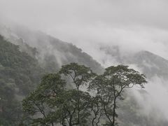 -赤水丹霞旅游区·佛光岩
