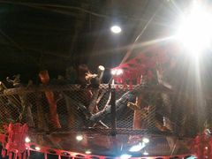 大堂-红尘酒肉小馆